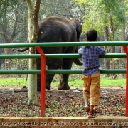 Bangladesh Natinal Zoo_17